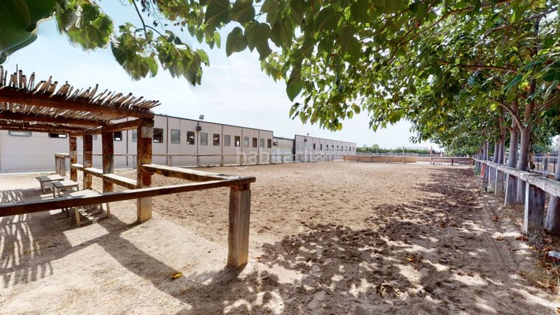 Foto 2882a34c-6da5-4963-9fc0-4a14fa66223d. Local commercial dans Los Felipes-Corral de Carmelo Chiva