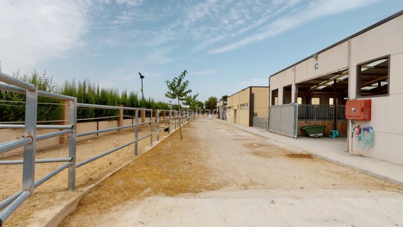 Foto 2f852afa-2942-4c38-8148-3e2646b14fc3. Local commercial dans Los Felipes-Corral de Carmelo Chiva