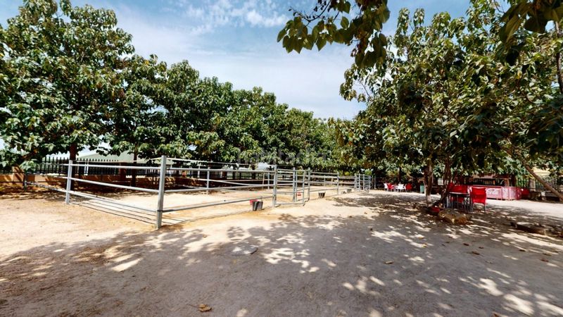 Foto 3c3d2b70-b477-4693-be02-a46fd381ae7c. Local commercial dans Los Felipes-Corral de Carmelo Chiva