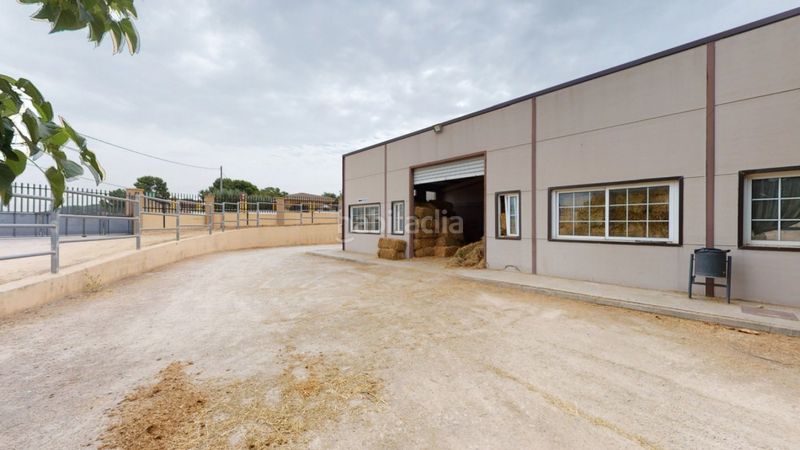 Foto 464f783d-5636-4f5a-9f79-85a32e6d9e7b. Local commercial dans Los Felipes-Corral de Carmelo Chiva