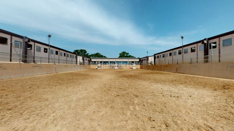 Foto 6bd8168d-93af-4cfc-b8fc-894e067cd120. Local commercial dans Los Felipes-Corral de Carmelo Chiva