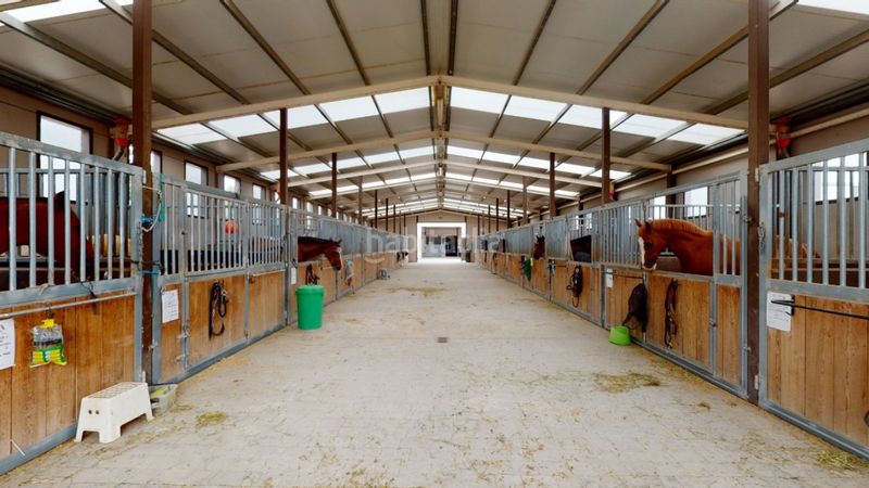 Foto 9d6b62a4-e7e1-4781-94f4-13b74093fff8. Local commercial dans Los Felipes-Corral de Carmelo Chiva
