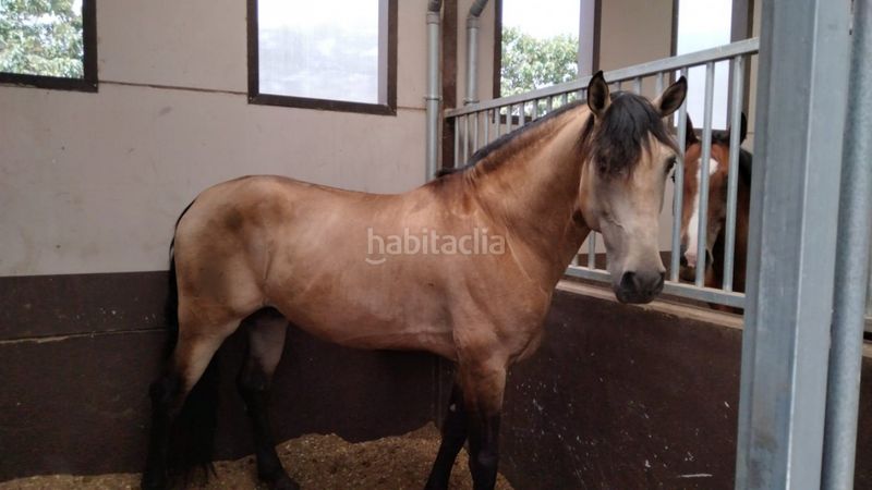 Foto b8ad38fc-35af-4e55-b6b9-851bbaabc152. Local commercial dans Los Felipes-Corral de Carmelo Chiva