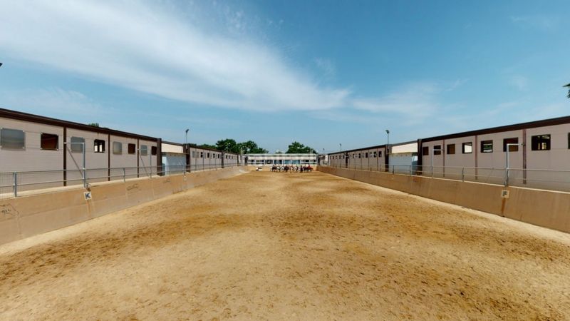 Foto bfe23552-73ee-427d-b0f2-e0644ff5e322. Local commercial dans Los Felipes-Corral de Carmelo Chiva