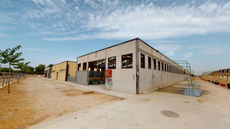 Foto ce53bda2-6111-452c-95f1-30b48735036f. Local commercial dans Los Felipes-Corral de Carmelo Chiva