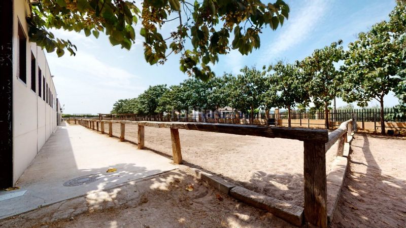 Foto f359dfe8-b19f-403c-a00a-8b905cdc30df. Local commercial dans Los Felipes-Corral de Carmelo Chiva