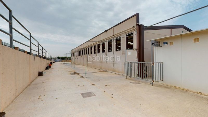 Foto f4fdc4f5-1e2a-45eb-8d5e-e972d4caf643. Local commercial dans Los Felipes-Corral de Carmelo Chiva