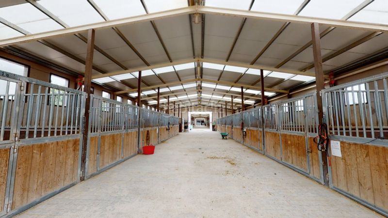 Foto f7dc7c6b-78d7-4d01-be94-f3053150c54a. Local commercial dans Los Felipes-Corral de Carmelo Chiva