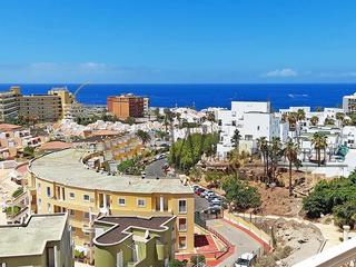 Apartament  Antonio navarro. Orlando  torviscas bajo