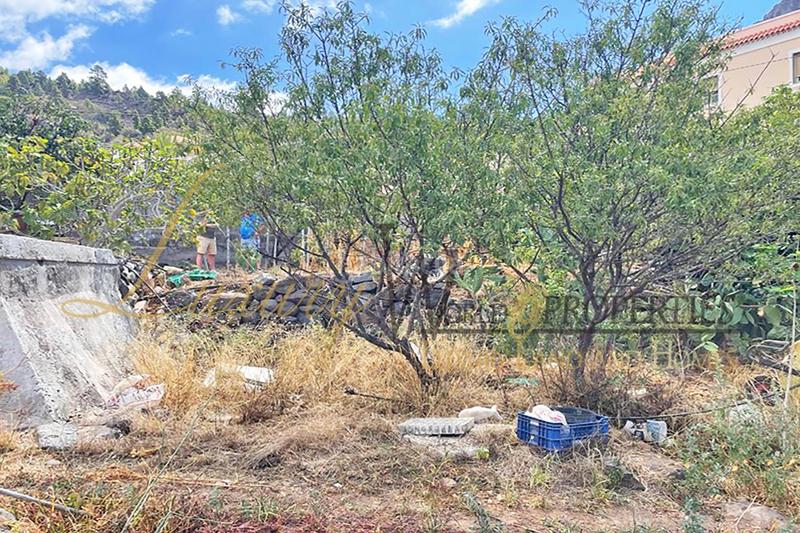 Foto eb5923e6-1035-476c-a030-f3d40e3766bf. Residential plot in Tamaimo - Arguayo Santiago del Teide