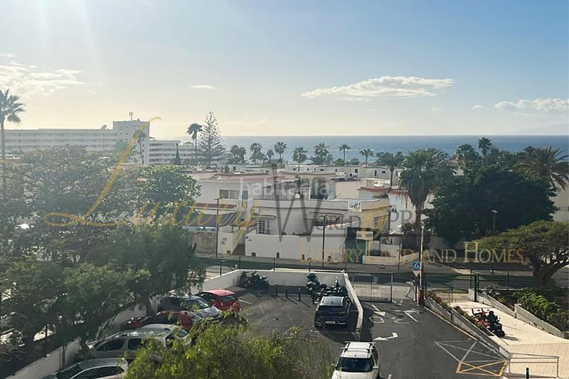 Foto db978da0-6fa5-4d06-bac2-db6848ba742b. Apartament amb piscina a Playa de las Américas Adeje