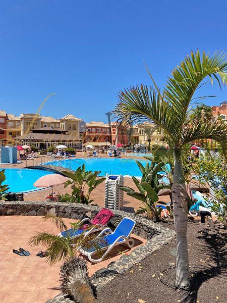 Foto 4329edb0-0679-4b3e-99b8-548f09a68bb1. Piccolo appartamento con piscina in Los Cristianos Arona