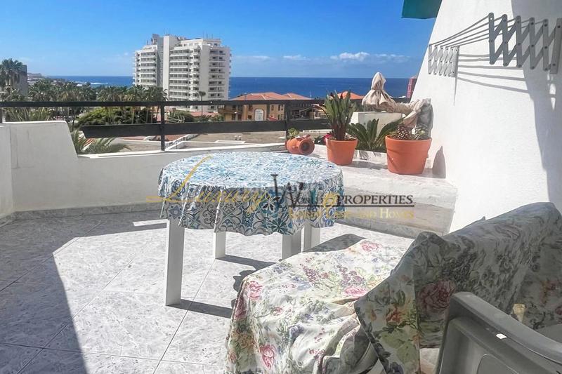 Foto 66d39900-7c33-4069-afa5-fb3fb0115f81. Estudio las flores San Eugenio Bajo en San Eugenio Bajo Adeje