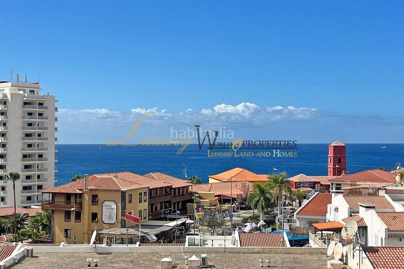 Foto 969f7f2b-3917-4719-9734-2632ce4a42ab. Estudio las flores San Eugenio Bajo en San Eugenio Bajo Adeje