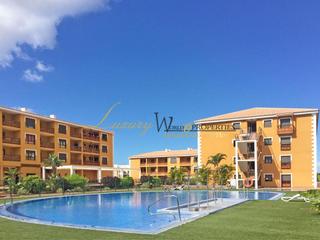 Estudi  Ruiseñor. El mocan  palm mar