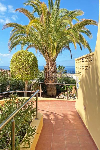 Foto 9cfb29ea-5505-45fd-8536-6d2f0f8e3328. Appartement mit pool in Torviscas Centro y Alto Adeje