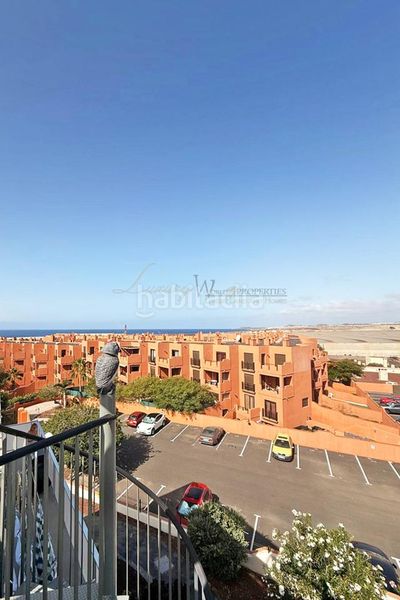 Foto 1560dc37-aa24-4d05-a682-1e1e59a7f962. Apartament amb piscina a Los Abrigos Granadilla de Abona