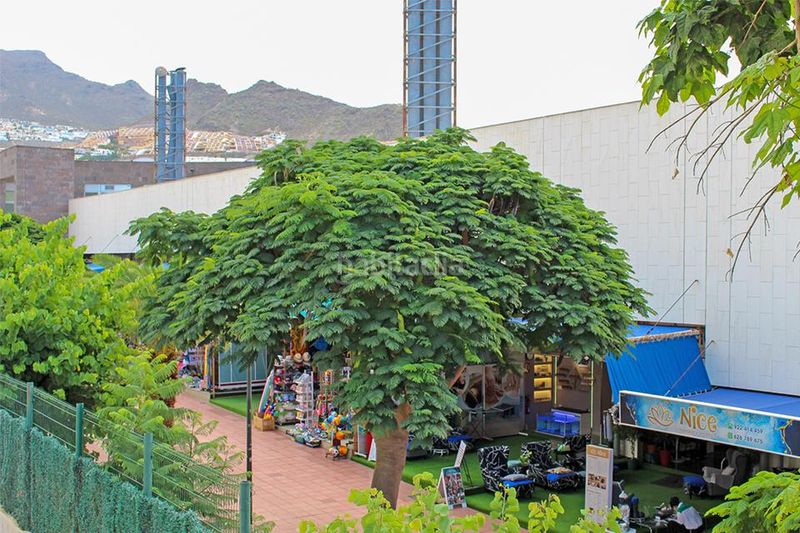 Foto 92b6222c-c77c-4a17-92c9-36831f0ad5bb. Apartament amb piscina a Playa de Fañabé Adeje