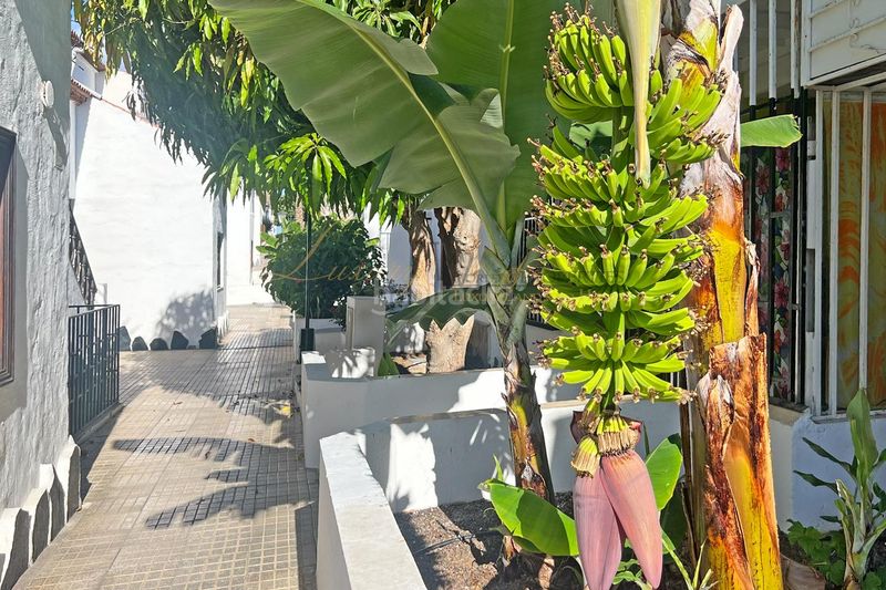 Foto ac57017b-fc69-4fa6-8add-098ab2ed5a00. Apartament amb piscina a Costa del Silencio Arona