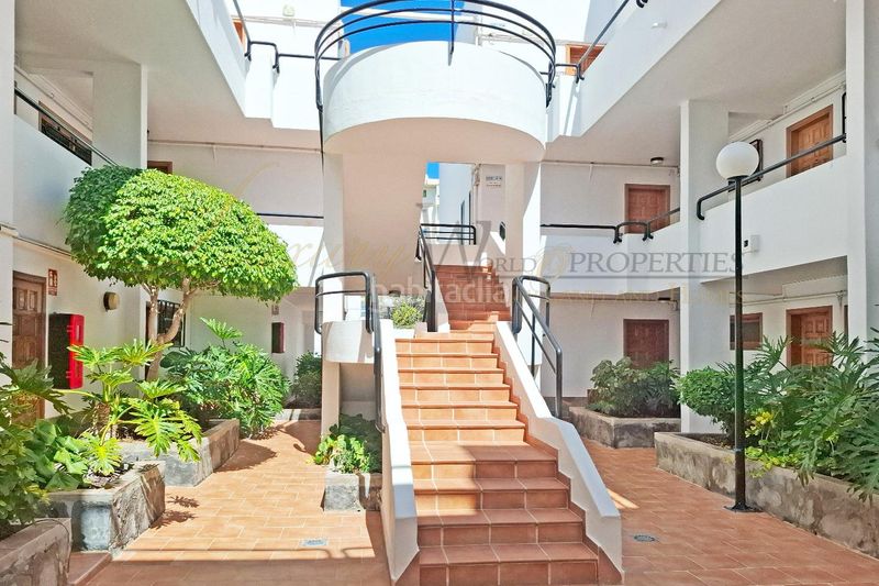 Foto 8ba7371f-fe7f-45cd-a819-60e4496b2a84. Apartament amb piscina a Playa de las Américas Arona