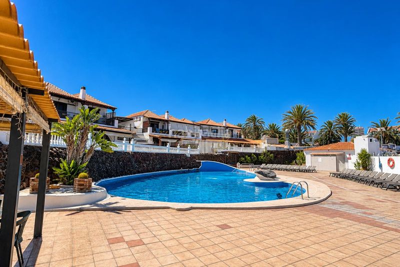 Foto 2b866622-d796-4a86-9d29-f123edd494dc. Studio avec piscine dans Playa de las Américas Arona