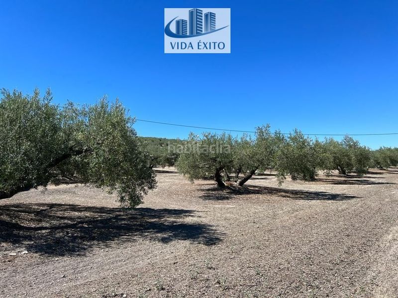 Foto 4f494f87-5fcf-401d-9fbc-8499dc63c9b5. Casa a Martos