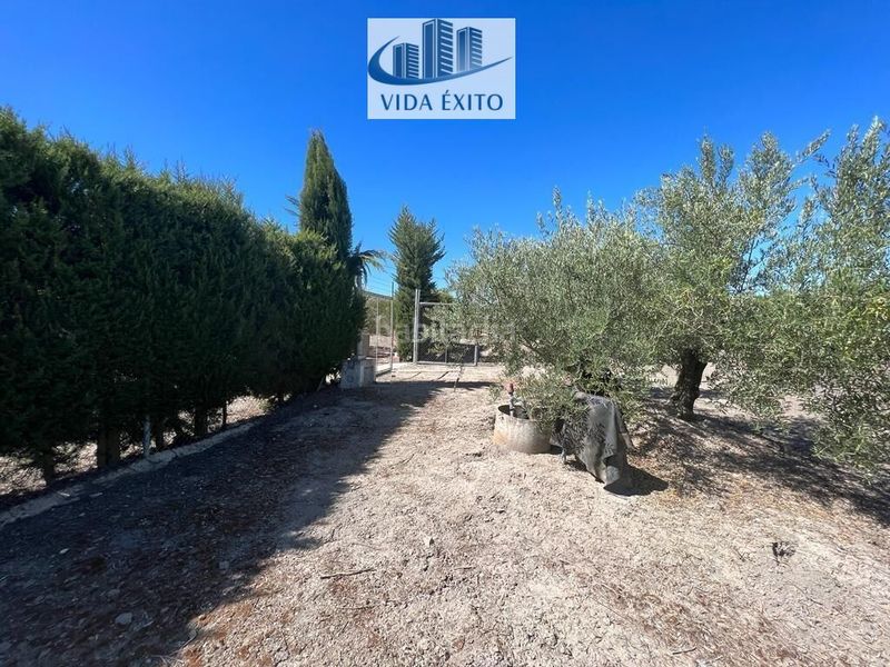 Foto a9299bfd-a8ad-4a01-b6b3-6d8931b624ac. Casa a Martos