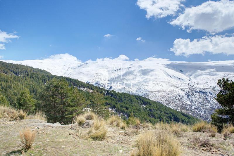 Foto 8d42f830-ceba-4cdb-88b2-e97603b5f370. Apartamento moderno apartamento en venta en Zona media Sierra Nevada