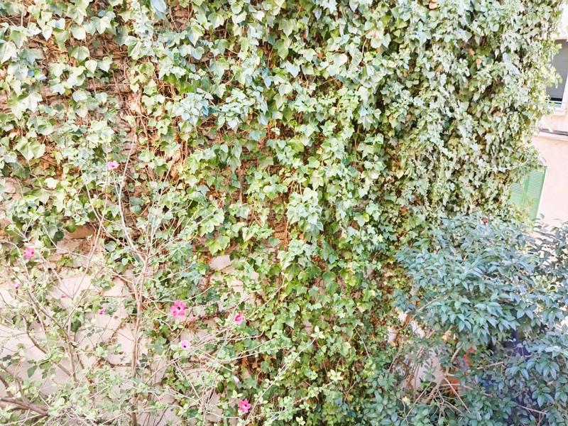 Foto 1416d539-47be-41d8-80ca-6028425471f2. Edifici a Centre Figueres