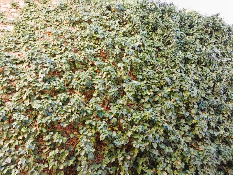 Foto d426f014-cca1-4950-9f60-ee3f59741074. Edifici a Centre Figueres