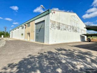 Industrial building  Partida alegea