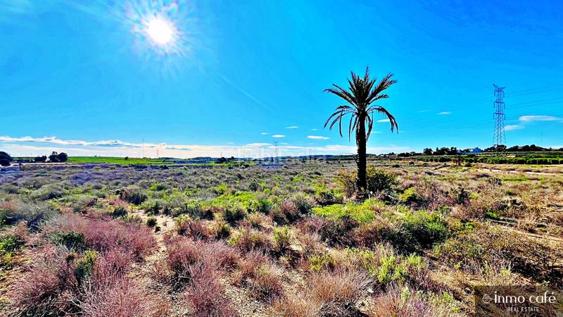 Foto c1c4cdd8-a8c5-4457-b6a4-d01751d39400. Fondo rustico in El Bacarot Alicante