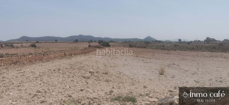 Foto 4db36925-8cdb-41f9-80fb-dd7657510d3b. Terreny residencial a Pinoso
