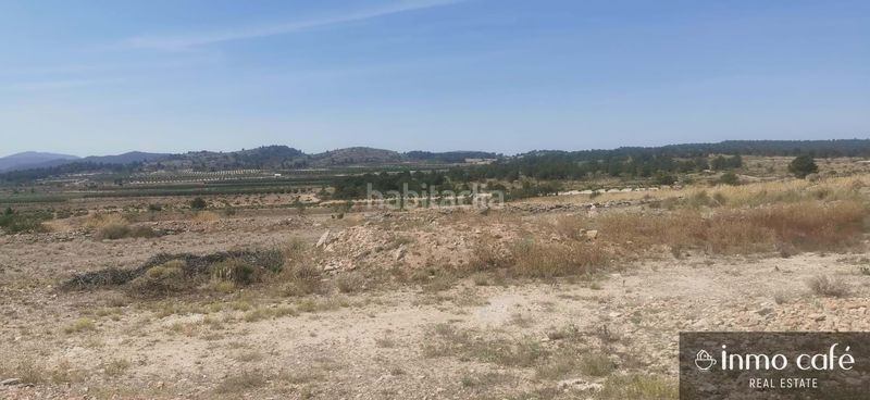 Foto 556d94e0-40e5-453d-8922-c6cde152c971. Terreny residencial a Pinoso