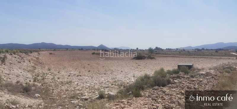 Foto 9bbd697c-c1ed-4c96-8af9-65d9611b8f67. Terreny residencial a Pinoso