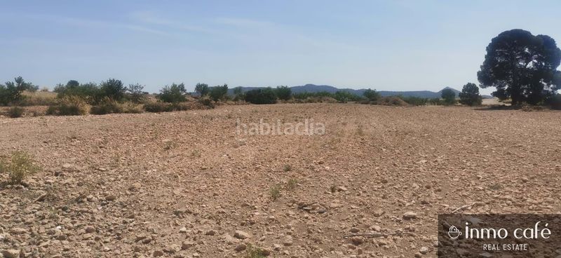 Foto aff3fe36-9467-4f8c-86a7-64bb0e35c98d. Terreny residencial a Pinoso