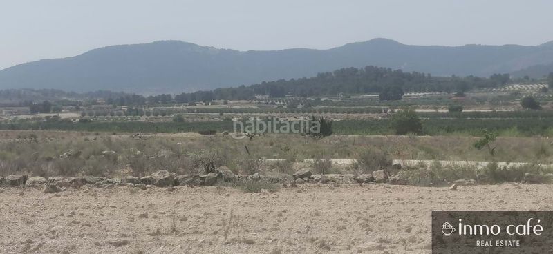 Foto b1209ca9-0497-4de4-857a-7c17aa38baec. Terreny residencial a Pinoso