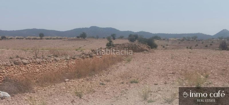 Foto b928c408-e35e-4973-af30-d831ba6d9853. Terreny residencial a Pinoso