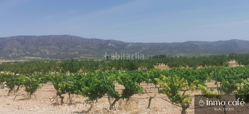 Foto c09c599d-c2b1-44b0-85c6-e71fbfc5ba4f. Terreny residencial a Pinoso