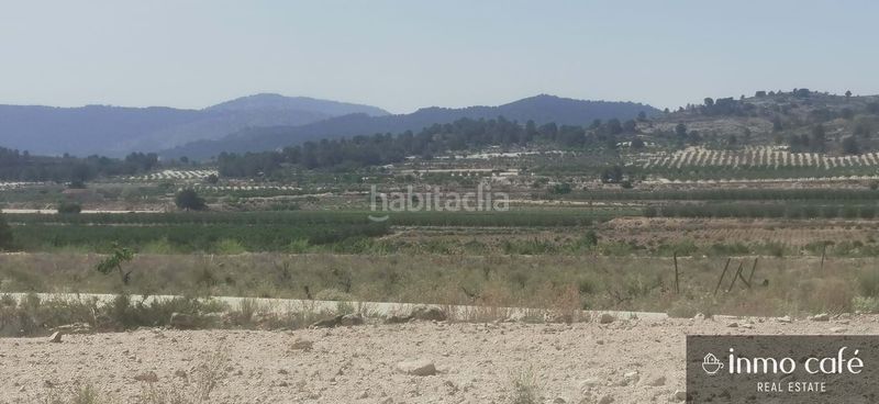 Foto e8bd0778-c494-4610-bc75-f1c74c022c02. Terreny residencial a Pinoso
