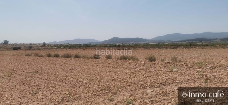 Foto f06ce541-9df5-4ab7-8bce-aa23853ed676. Terreny residencial a Pinoso