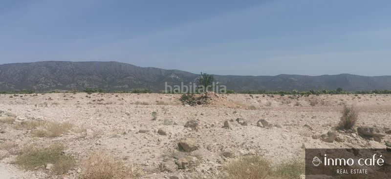 Foto fd36d0e9-4cf2-45c7-8903-4634fa0cdcfb. Terreny residencial a Pinoso