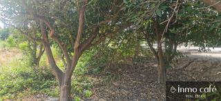 Landgut in POL  PARC .  Benferri