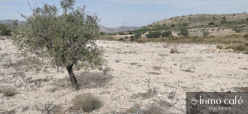 Foto ddd9b23d-f343-4ca1-ab6c-90f2d0efd7fd. Terreno residencial en Salinas