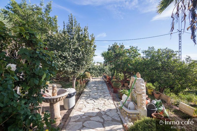 Foto 8747eedd-df69-4c2a-9c2b-0d2b8876ee06. Chalet en Peña de las Águilas Elche / Elx