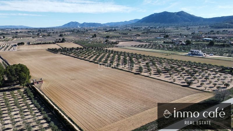 Foto 1e2de602-2069-4a4b-bb69-fee3c3058cf7. Finca rústica en Las Tiesas Villena