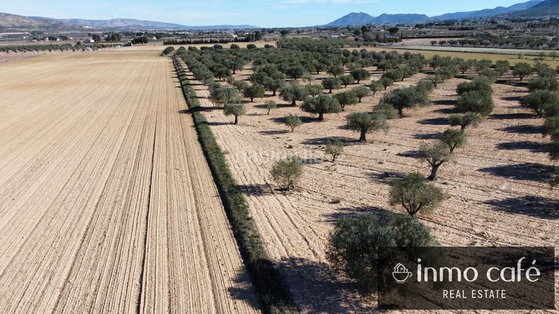 Foto 8c89ac1f-e915-40a3-ac36-ad4d1caeb2e0. Finca rústica en Las Tiesas Villena