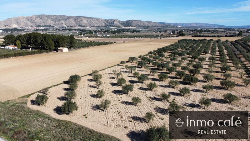 Foto ab7a9197-eea2-4ae8-9ed0-ec4d449202be. Finca rústica en Las Tiesas Villena