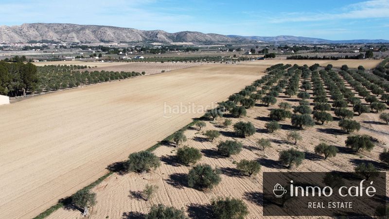 Foto c4060404-81dd-4411-ad2b-6035c3a1251d. Finca rústica en Las Tiesas Villena