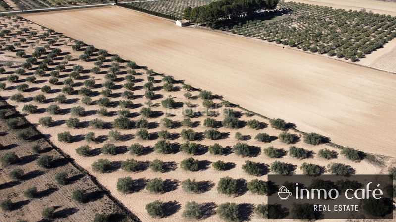 Foto d1c56532-4aa5-4e2a-9039-eb46d1fa803f. Finca rústica en Las Tiesas Villena
